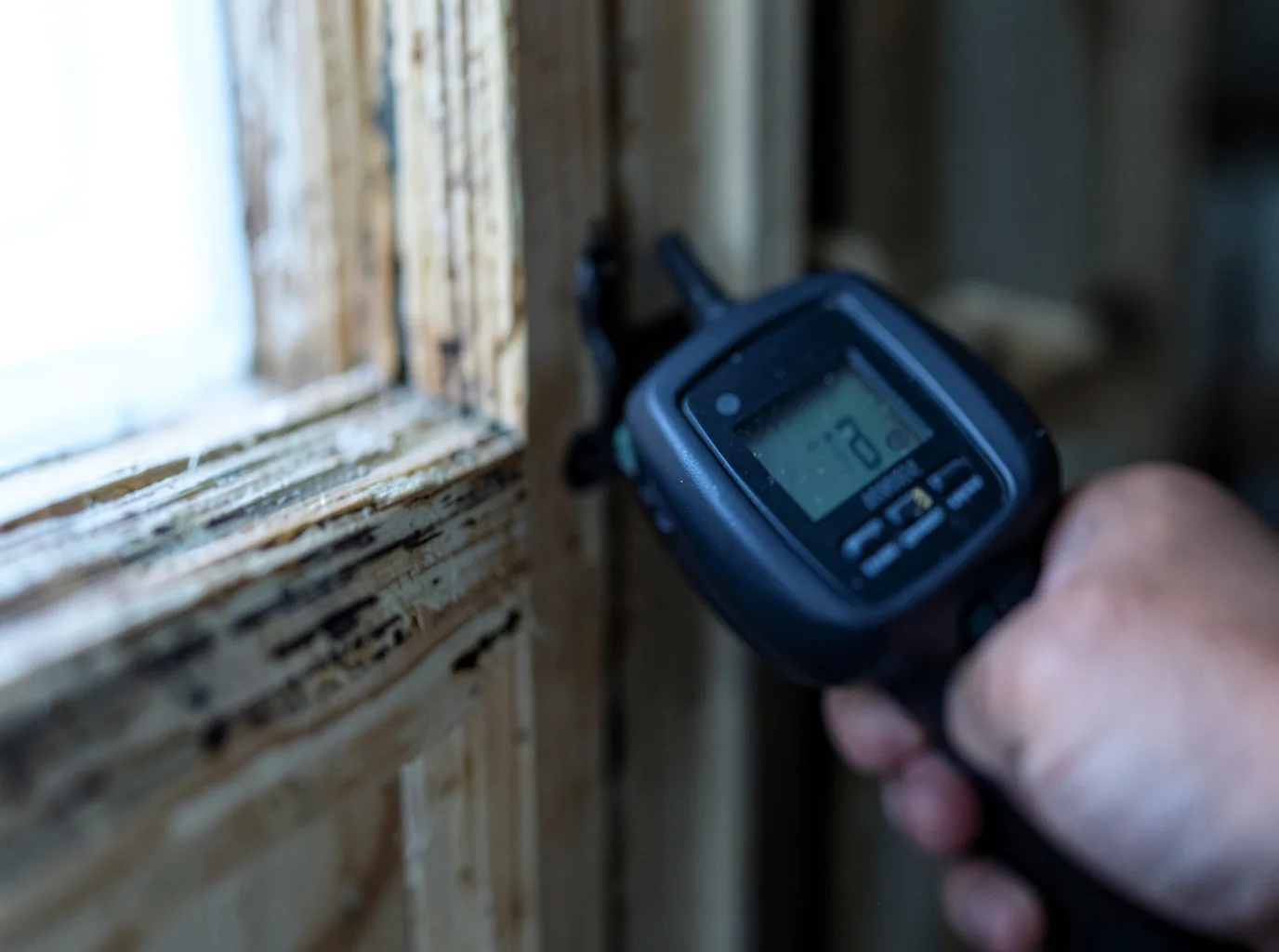Moisture Inspection And Documentation in Middletown, DE
